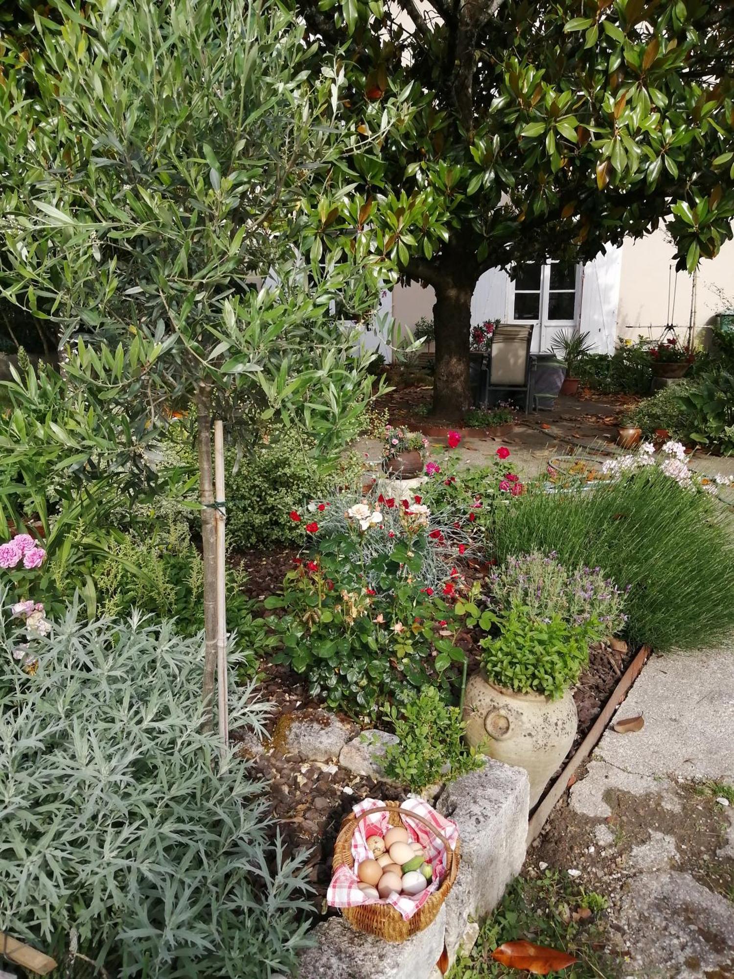 Bed and Breakfast Au Logis De Vechillot Angulema Exterior foto