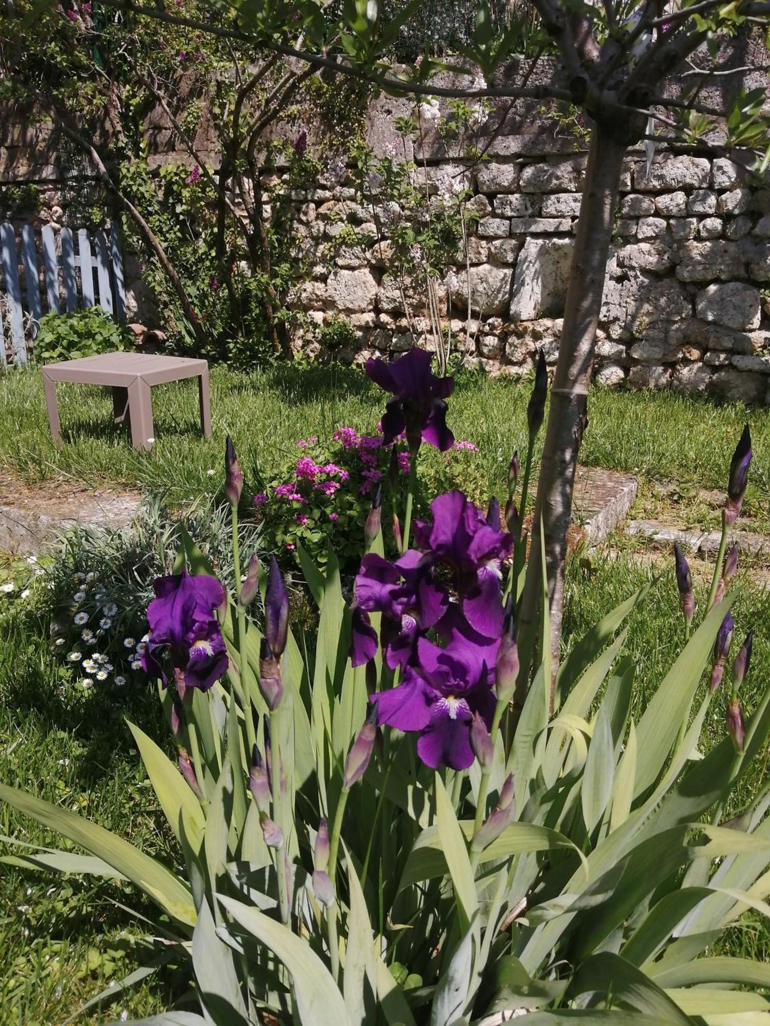 Bed and Breakfast Au Logis De Vechillot Angulema Exterior foto